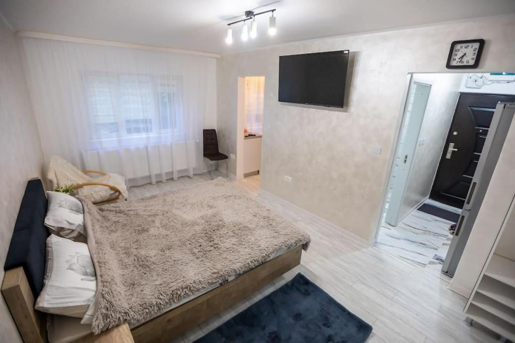 Garsoniera Central II Târgu Jiu Dış mekan fotoğraf